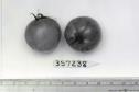 Click for 1 image(s) for this accession. FRUIT